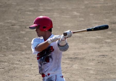IMGP1791_800_562.jpg