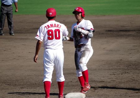 IMGP1901_800_563.jpg
