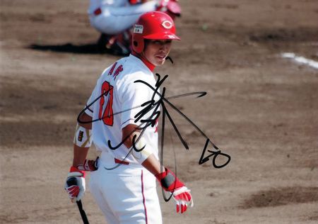 carp007_800_562.jpg