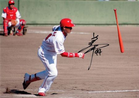 carp011_800_562.jpg